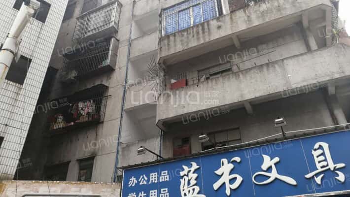 棠下东约塘边街外景图