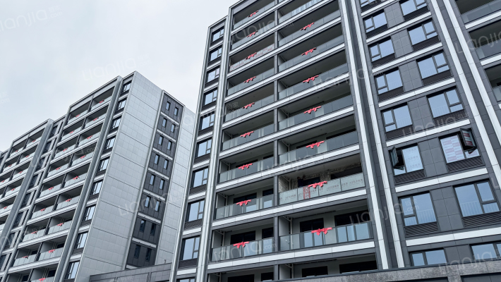 康业辰起越心府外景图