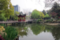 翠苑一区16