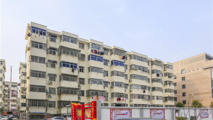 青年组团外景图