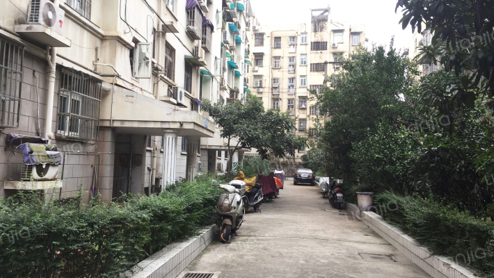 紫竹林28号外景图