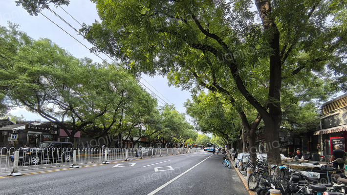 桃条胡同外景图