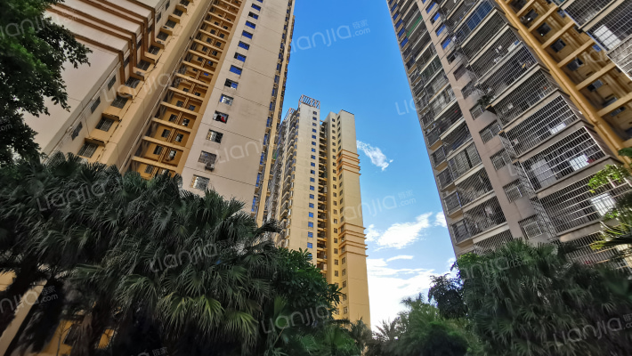 水岸星城A区外景图