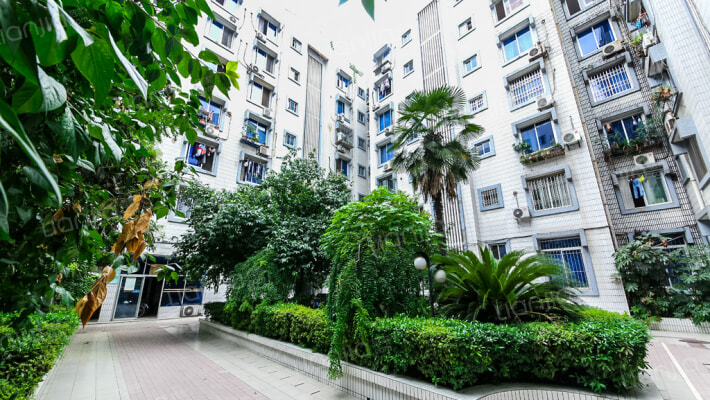 棕港公寓外景图