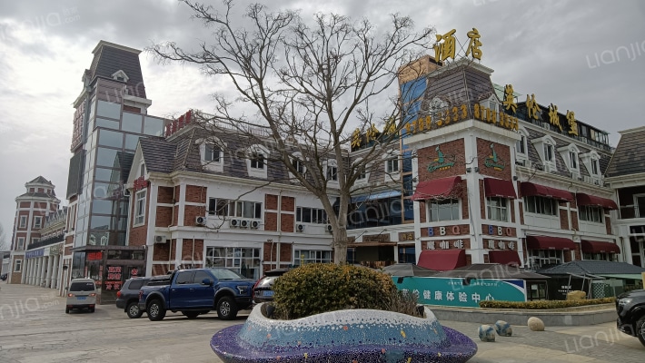 鲁能胜地商业街外景图