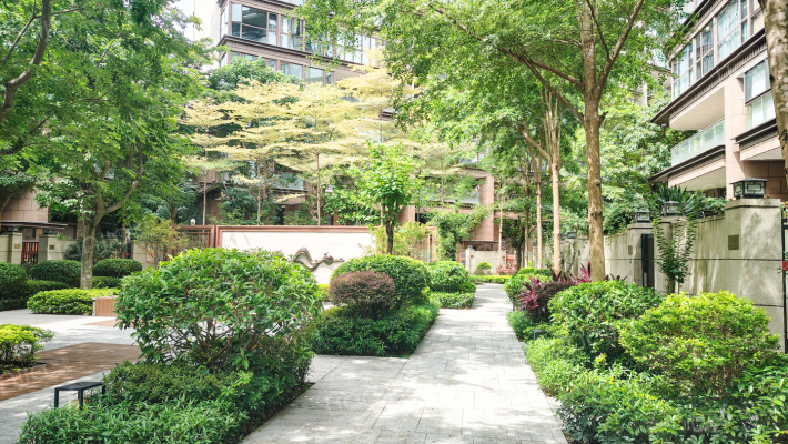 招商境界外景图