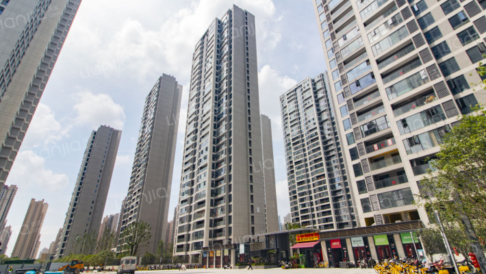 国博新城悦江府外景图