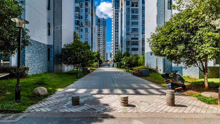 黄金水岸外景图