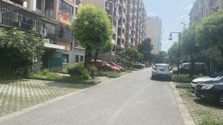 金枫家园外景图