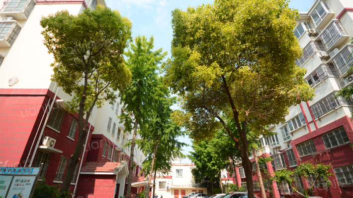 福星花园外景图