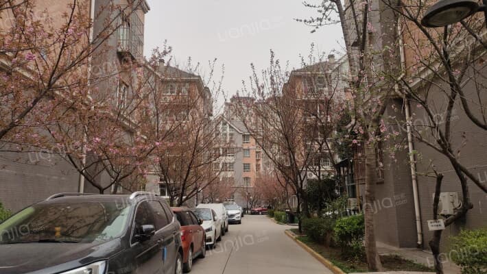 桐芳巷社区外景图