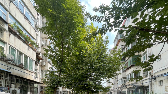 宁东林业局小区外景图