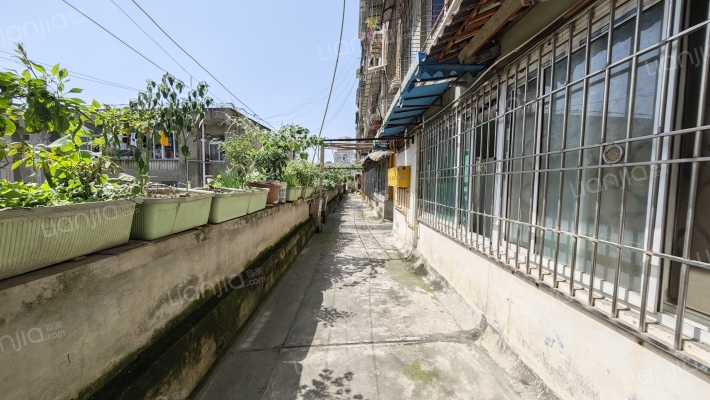 鱼凫路8号院外景图