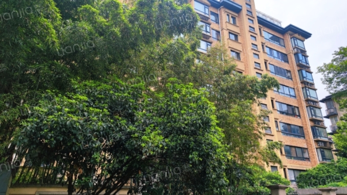 天目华庭外景图