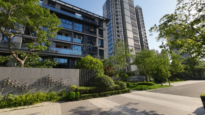 中天云望外景图