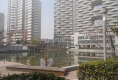 鲁信长春花园18