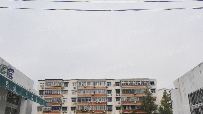 大成公司家属院外景图