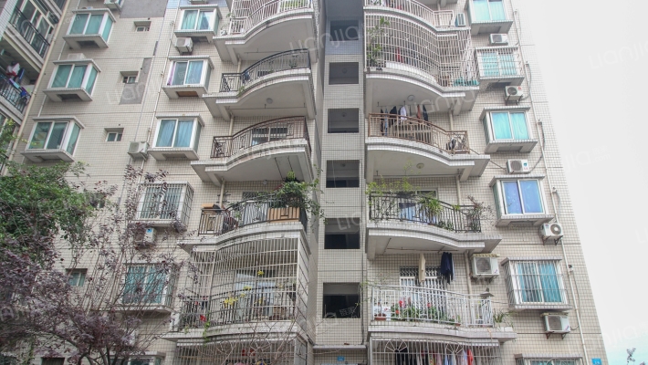 伴山雅居外景图