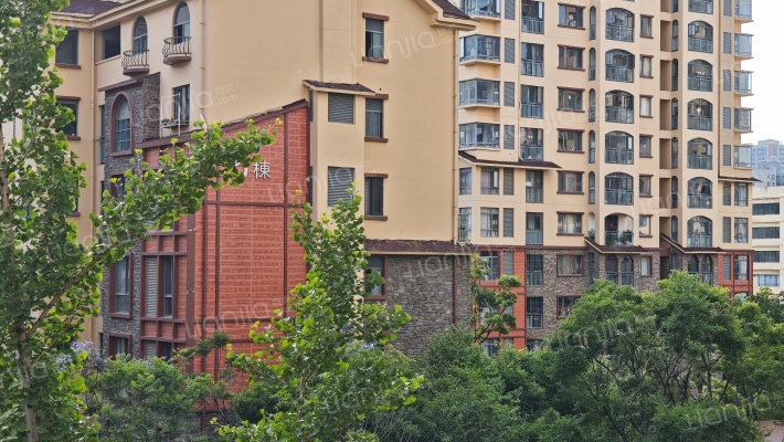 第三城紫香园外景图