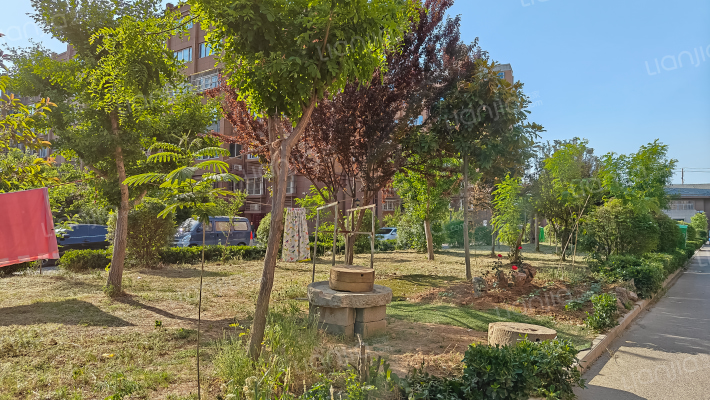 泉城花都D区外景图