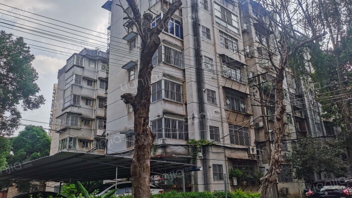 广西化工规划设计院外景图