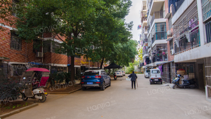 蔡甸大街194号外景图