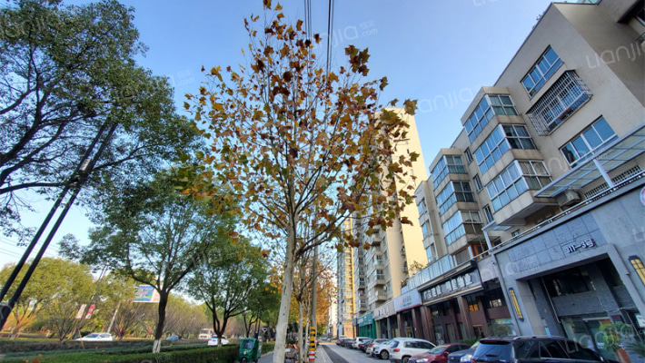 左岸枫情苑外景图