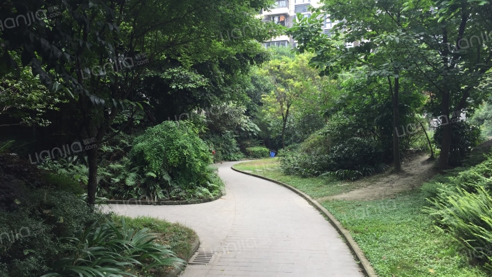 西锦集一期外景图