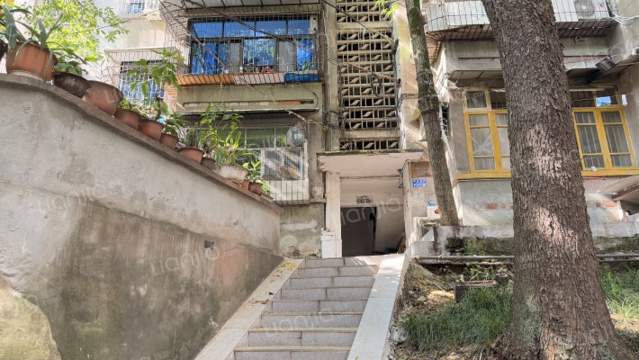 碚峡西路外景图