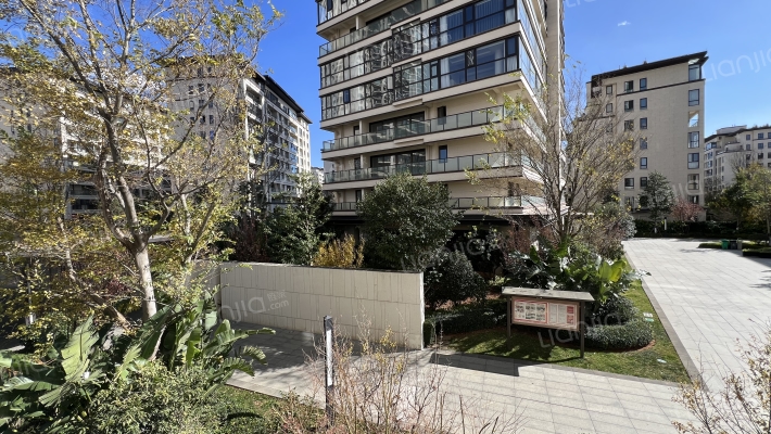 金科江湖海外景图