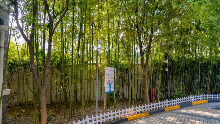 龙龙家园外景图