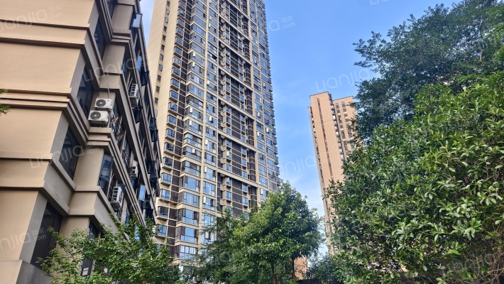 新力紫园外景图