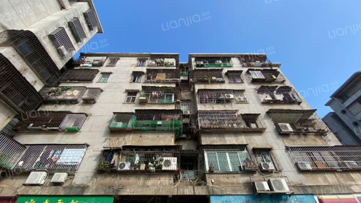 景丽巷10号外景图