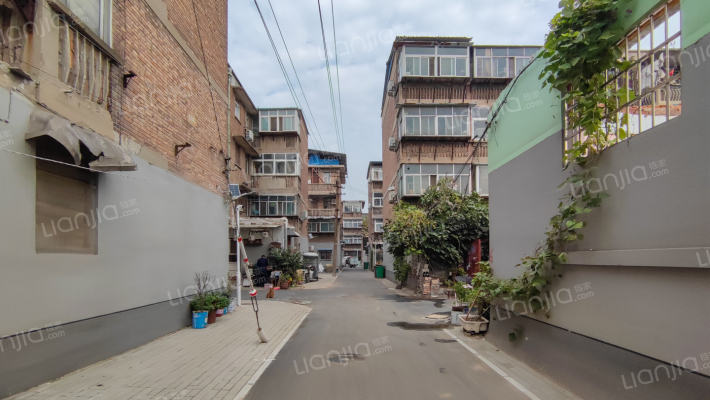 毛纺厂家属院外景图