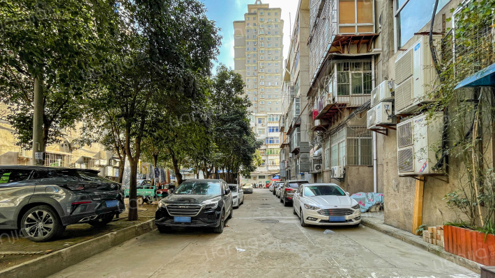 东八里新村外景图