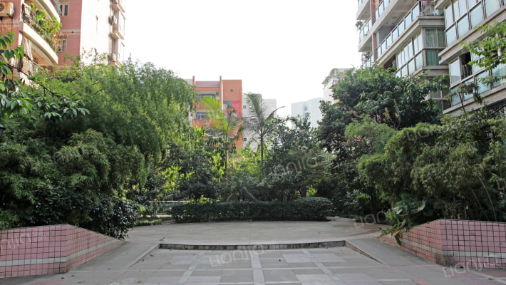 商委集资楼外景图