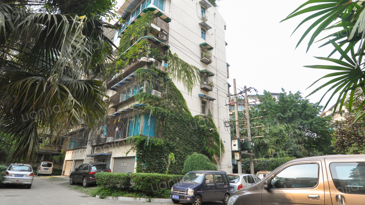 草堂雅居外景图