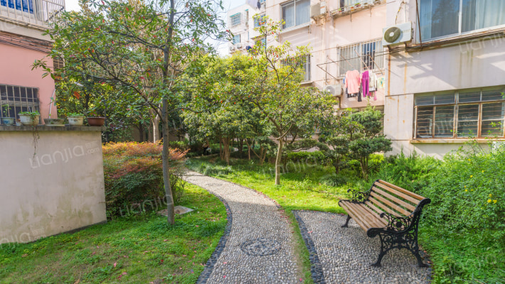 华师大三村外景图