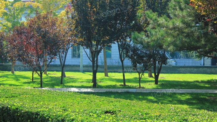 果园231号外景图