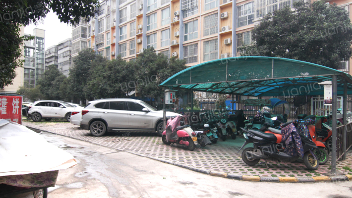 大城小爱外景图