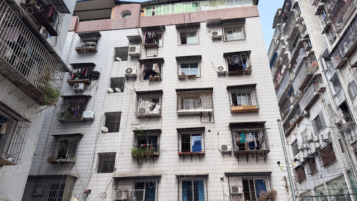 上海大道49-4号外景图