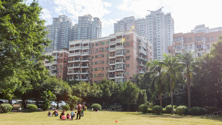 龙口花苑外景图