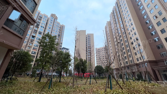 牛力家园外景图