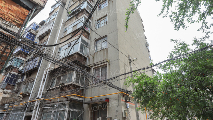 建新东街13号外景图