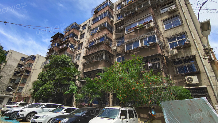 地税局家属院(政通路)外景图