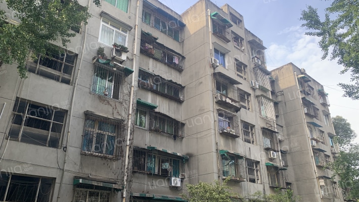 四通西街38号外景图