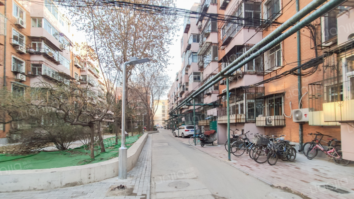 青春南里外景图