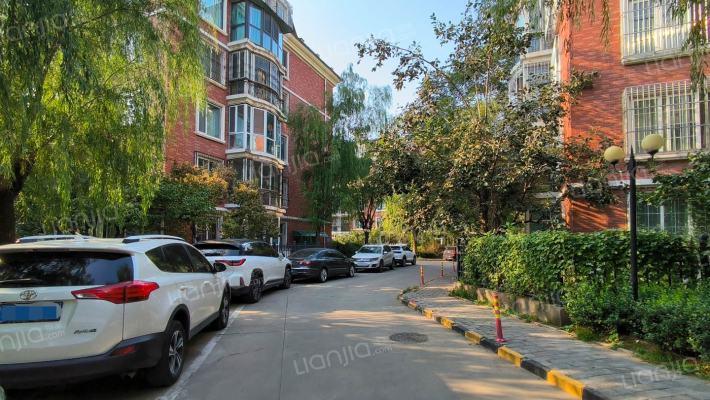 森林大第外景图