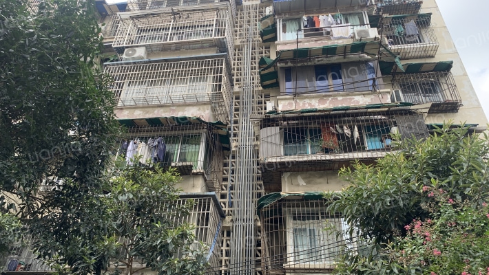 玉林九巷4号外景图