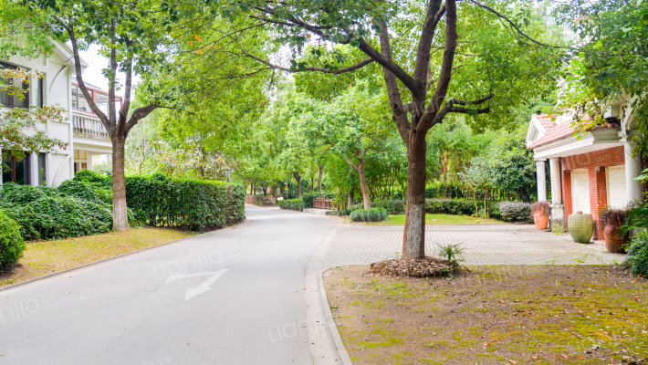 晨岛花苑外景图